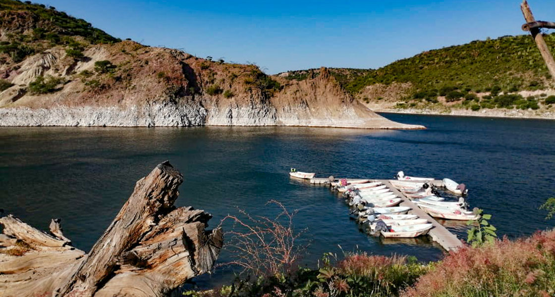Restaurante Las Adjuntas Tecozautla 04